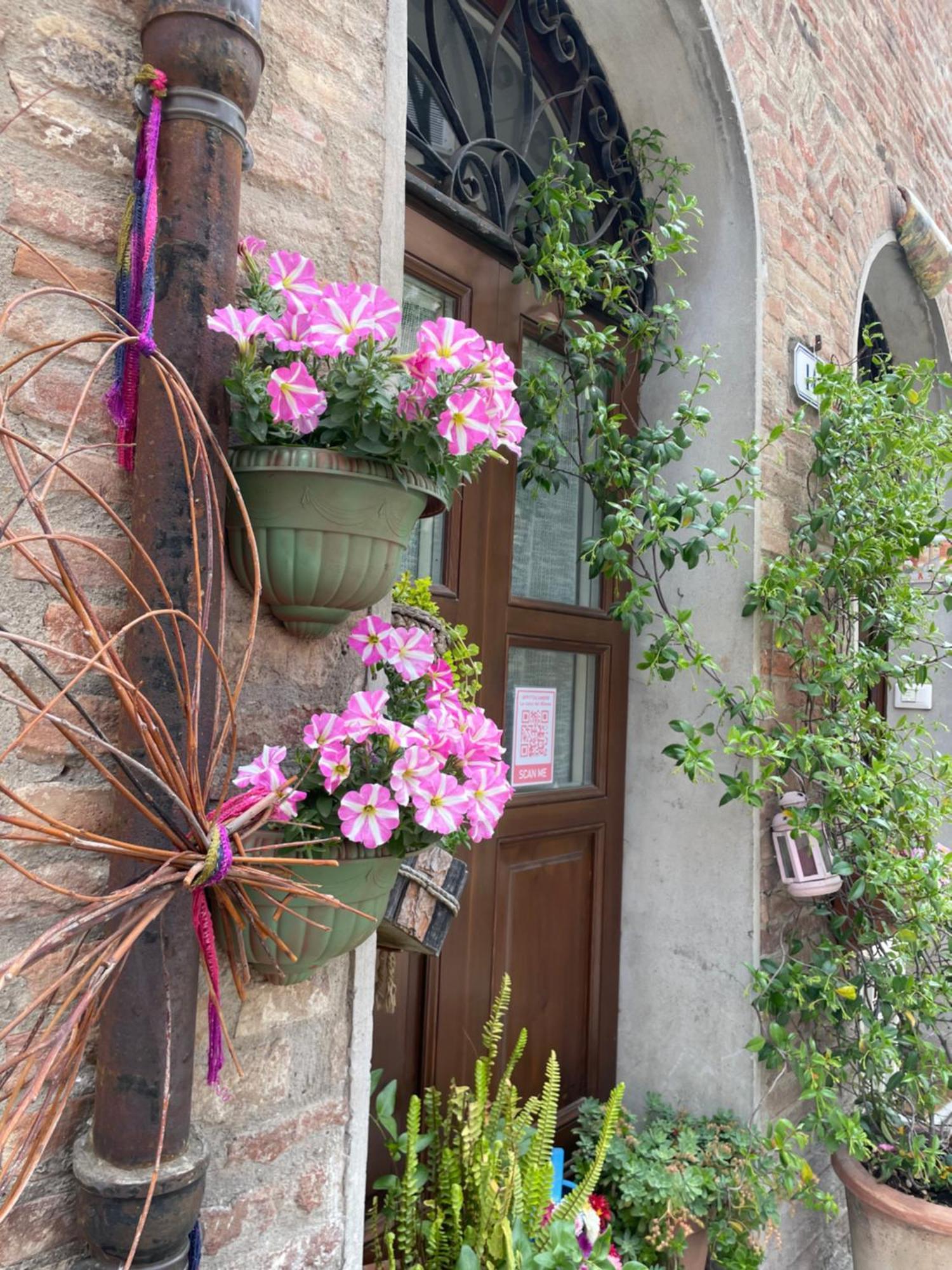La Casa Dei Mimmi Hotel Citta della Pieve Ngoại thất bức ảnh