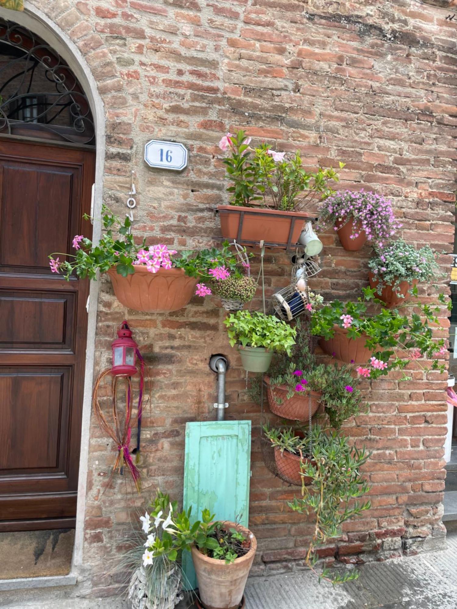 La Casa Dei Mimmi Hotel Citta della Pieve Ngoại thất bức ảnh